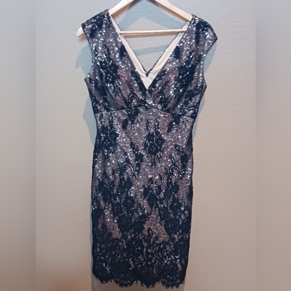 Marina Sequin Dress With Eyelash Lace, Womens Size 4
